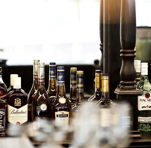 College 4* 알크마르